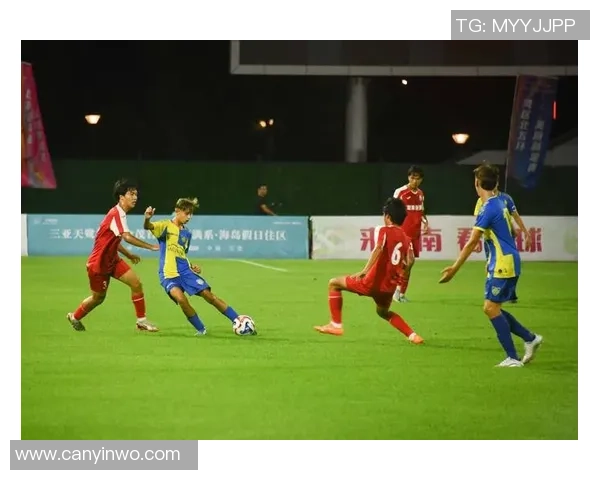 绿茵逐梦激情燃烧探索足球世界背后的荣耀与奋斗